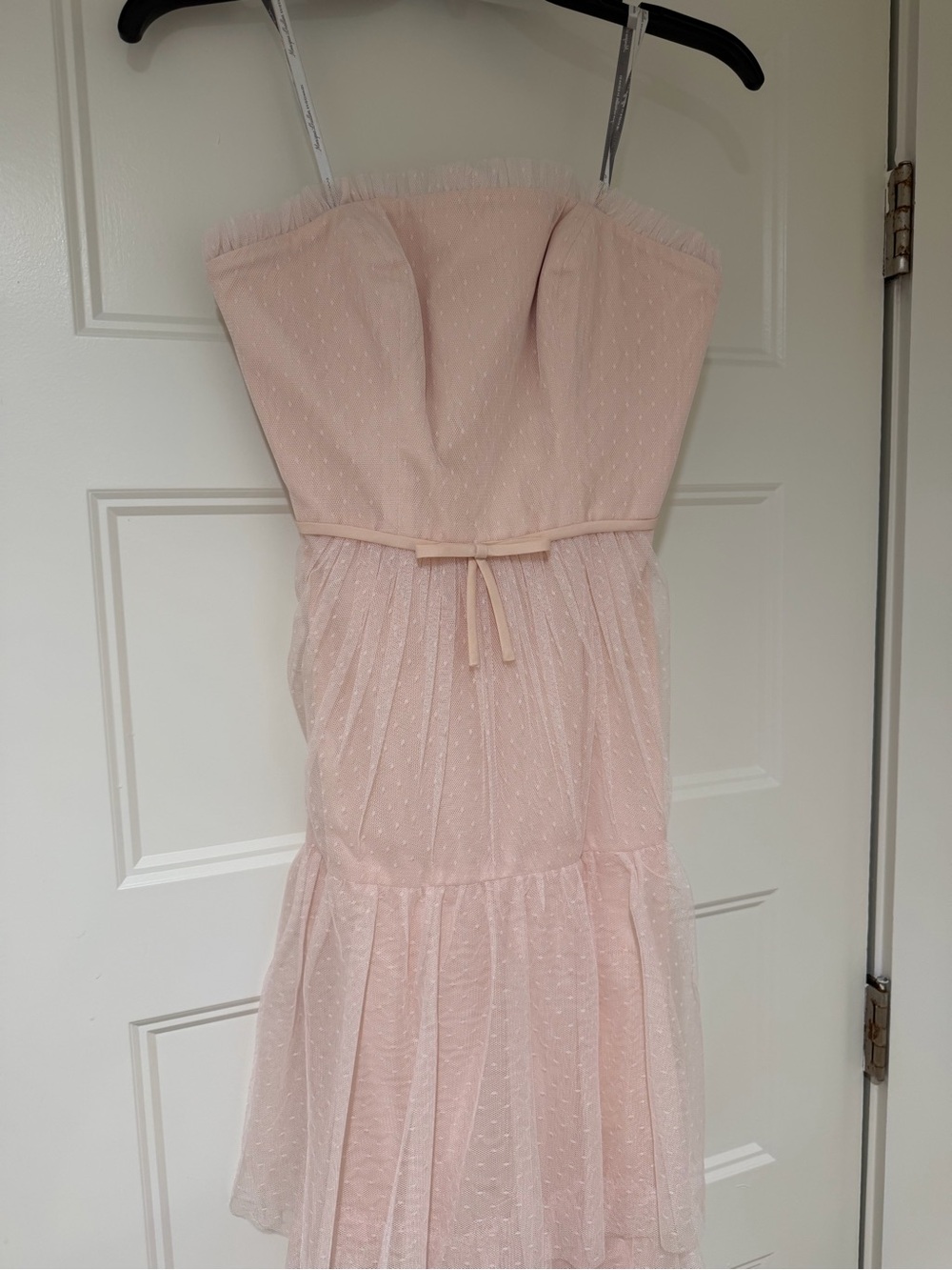 NEW Monique Lluillier Pink Layered Tulle Dress